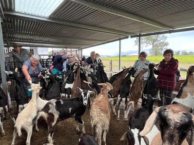 Members and guests enjoyed some kidding around when we visited the Naughty Little Kids goat farm at Peak Crossing during our mystery day bus trip in March 2024