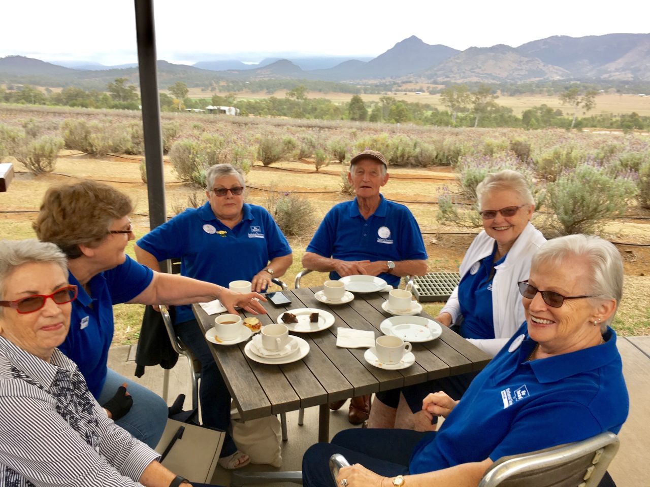 Visiting a Lavender farm and winery in the Scenic Rim