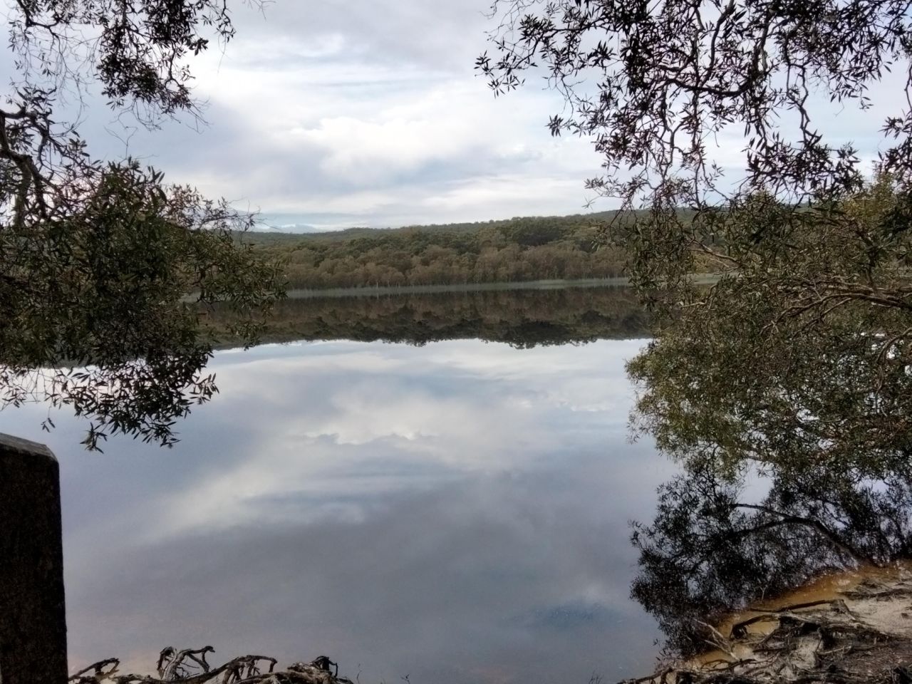 Morning Tea at Brown Lake Stradbroke Island 24th June 2021