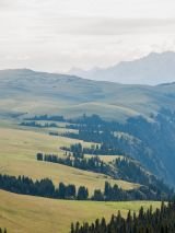Life on the Steppe