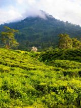 Stunning Sabah