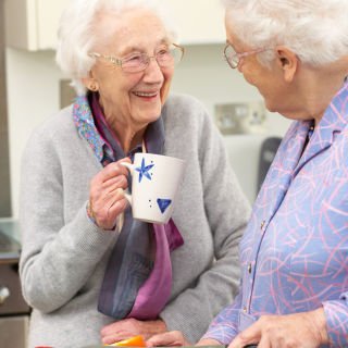 Age Care Consultation: Funding for Support at Home program