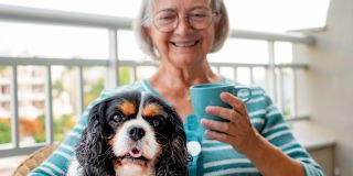 Should access to the Age Pension vary state to state?