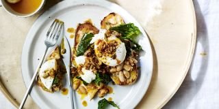 Eggs are coming out of their shells
