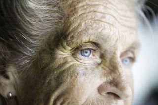 Report shines light on seniors’ worst fear