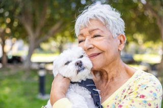 How to have a dog without the expense