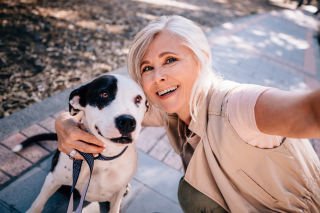 Keep your pet safe from ticks this summer