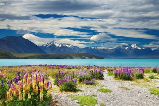 South Island Sojourn