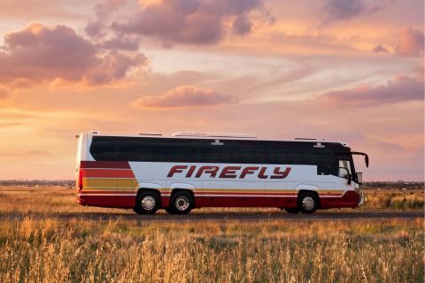 Firefly Express Coaches