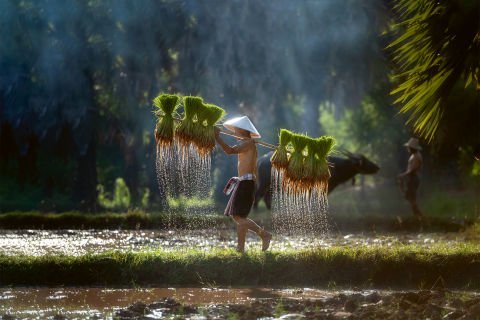 The Mighty Mekong