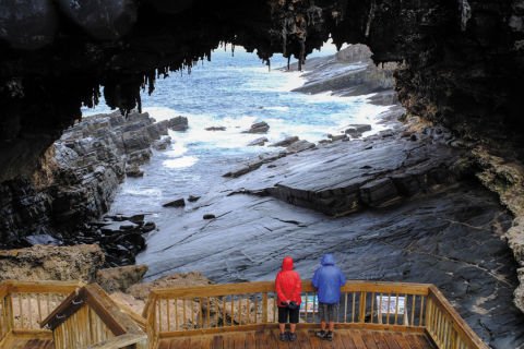 King and Flinders Island Odyssey