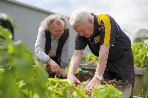 A guide to growing veggies